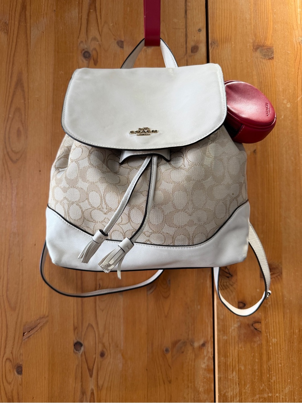 Coach Signature Canvas and Leather Backpack in Chalk